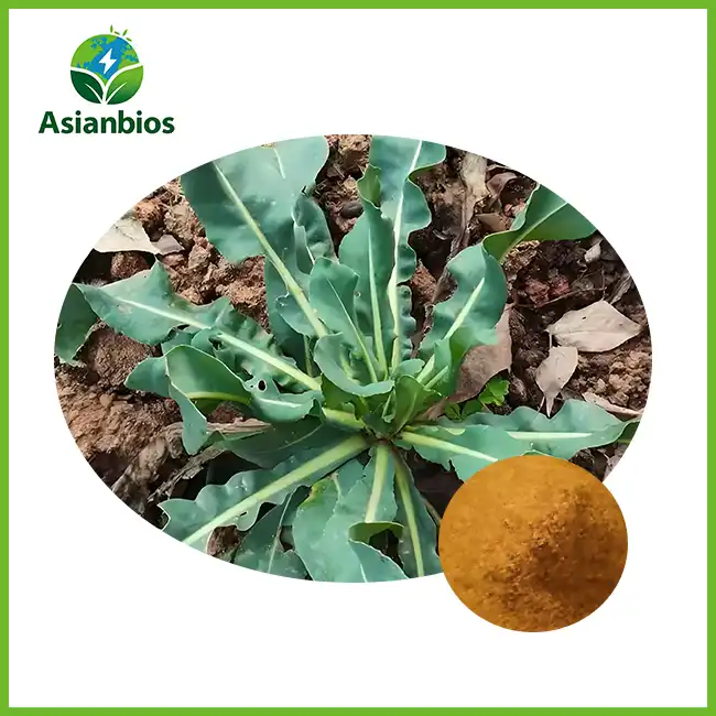 Isatis Root Extract